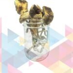 Acquista online i funghi magici Golden Emperor in grandi quantità