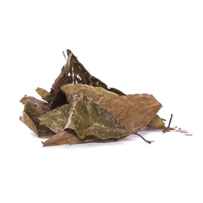 diplopterys-cabrerana-chaliponga-8.jpg Comprar Diplopterys Cabrerana Chaliponga Online - Imagen 1