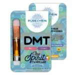 Koupit DMT 1Ml Purecybin 700Mg DMT online