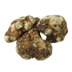 Buy Dolphins Delight Online