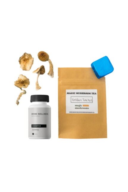 Koop First Timer Magic Mushroom Kit Psych 101 Een inleiding tot psychedelica online