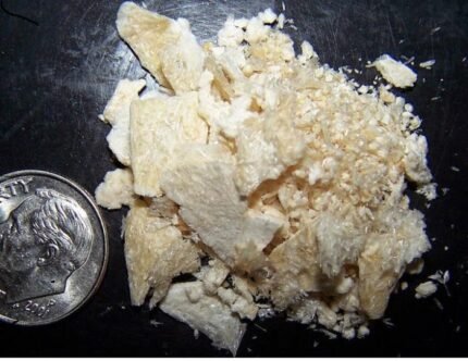 Acquista cactus da mescalina online