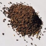 Acheter Peganum Harmala Rue Syrienne en ligne